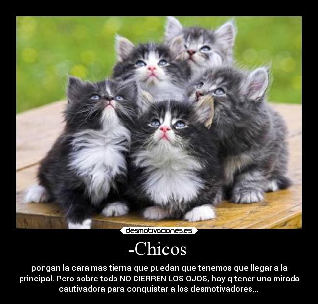 -Chicos -