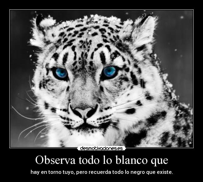 Observa todo lo blanco que - hay en torno tuyo, pero recuerda todo lo negro que existe.