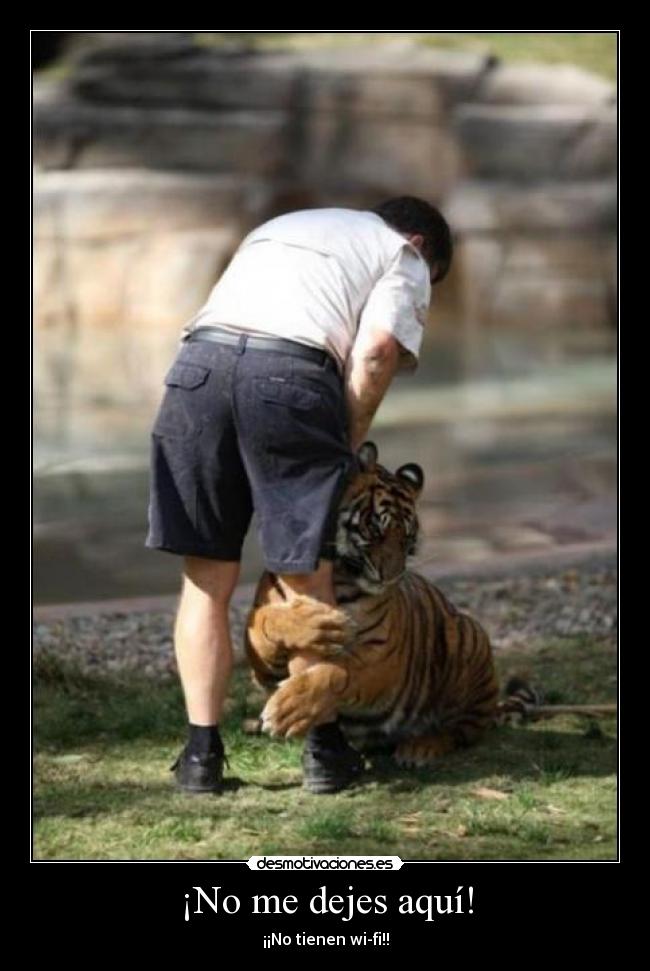 ¡No me dejes aquí! - 