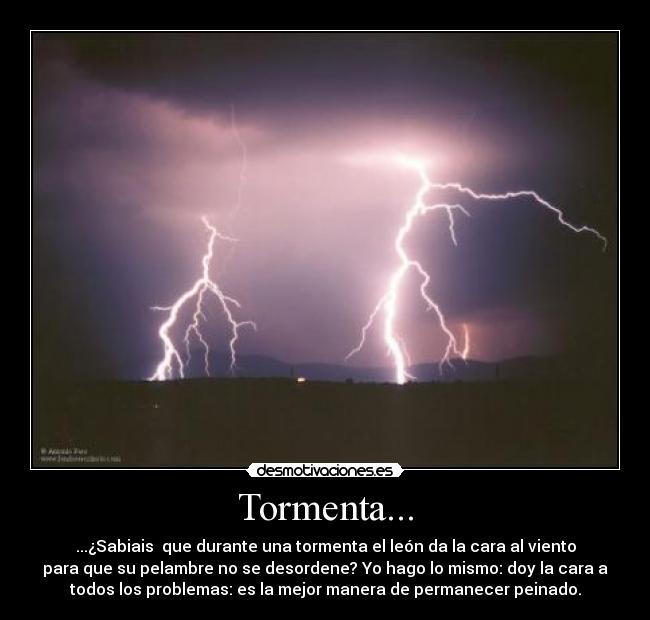 Tormenta... - ...¿Sabiais  que durante una tormenta el león da la cara al viento
para que su pelambre no se desordene? Yo hago lo mismo: doy la cara a
todos los problemas: es la mejor manera de permanecer peinado.