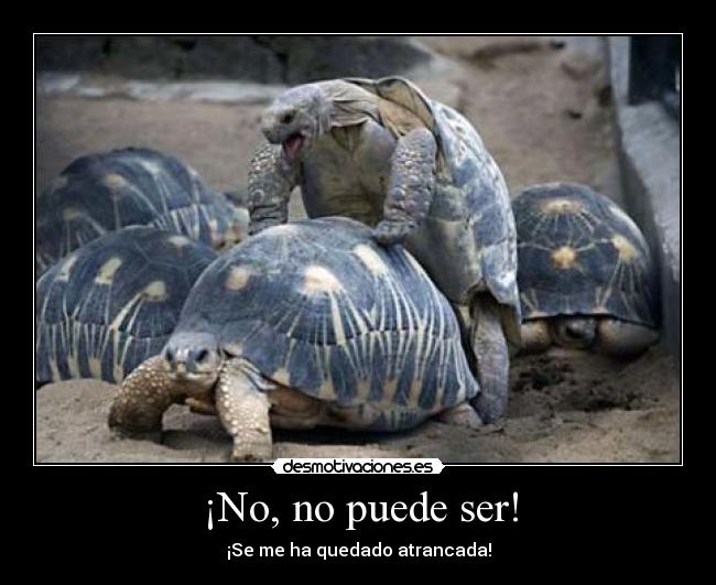 carteles tortuga dios homer simpsons bart nemo desmotivaciones walkt gato desmotivaciones