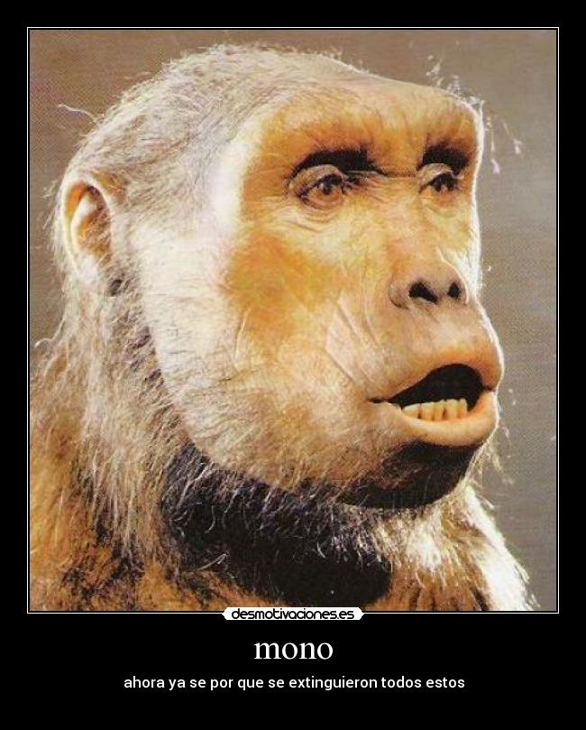 mono - ahora ya se por que se extinguieron todos estos