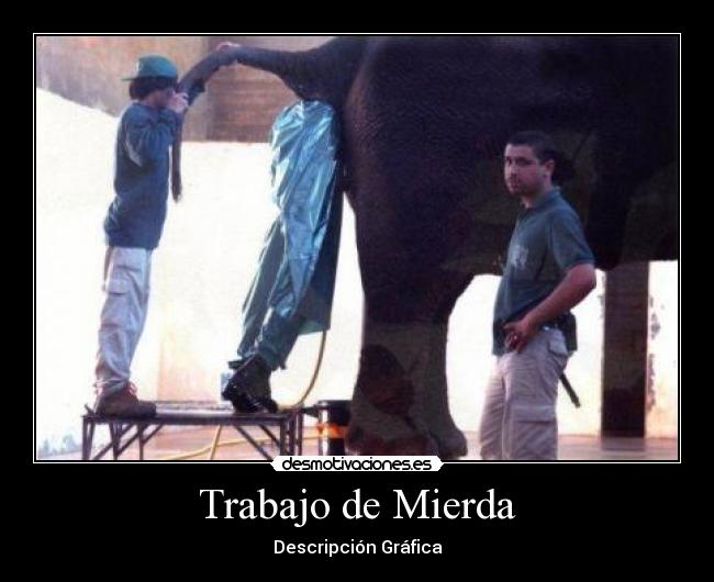 Trabajo de Mierda - 