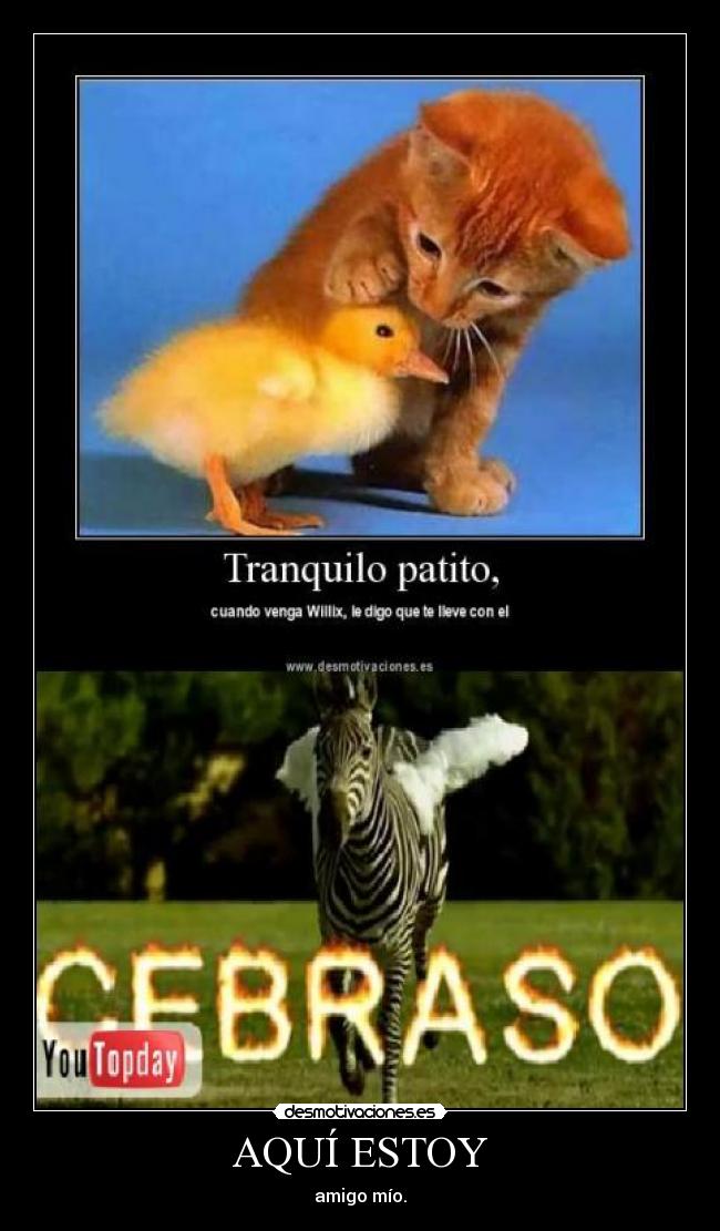 carteles damian555davidcasas desmotivaciones