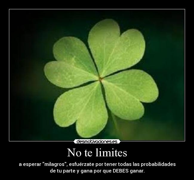 No te limites - 