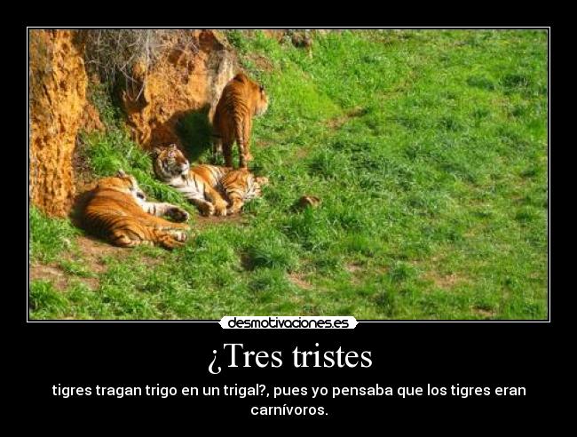 ¿Tres tristes - 