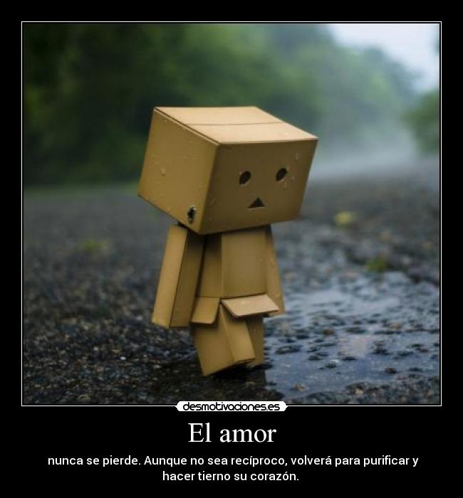 El amor - 