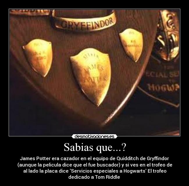 Sabias que...? - James Potter era cazador en el equipo de Quidditch de Gryffindor
(aunque la pelicula dice que el fue buscador) y si ves en el trofeo de
al lado la placa dice Servicios especiales a Hogwarts El trofeo
dedicado a Tom Riddle 