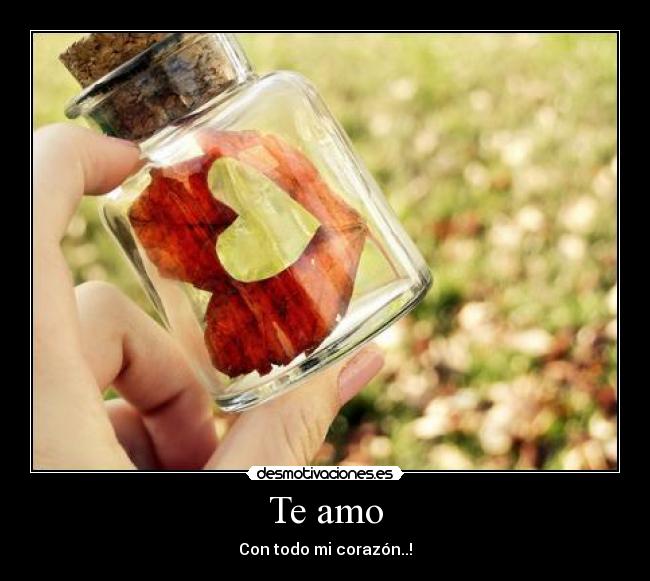 Te amo - 