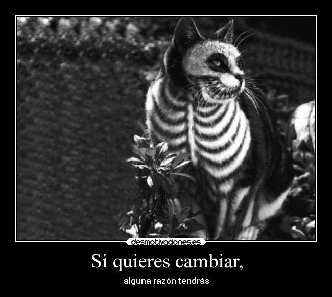 Si quieres cambiar, - alguna razón tendrás