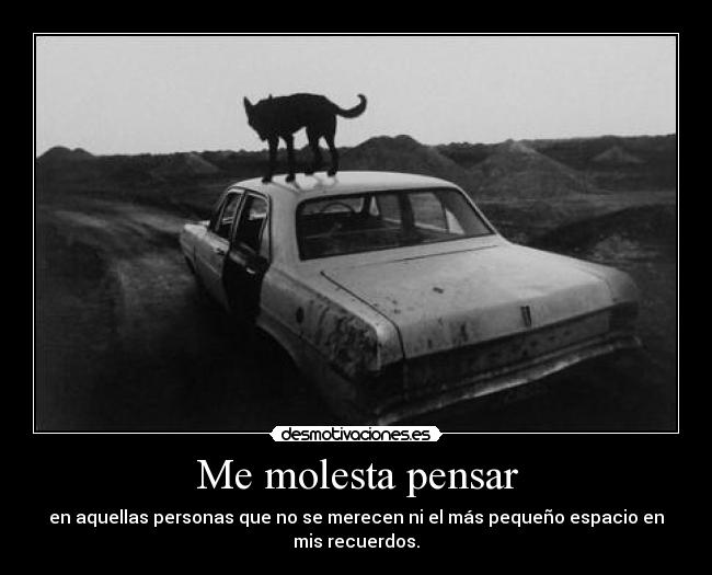 carteles molesta pensar desmotivaciones