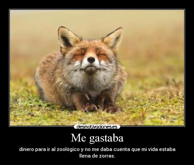 Me gastaba - dinero para ir al zoológico y no me daba cuenta que mi vida estaba llena de zorras.