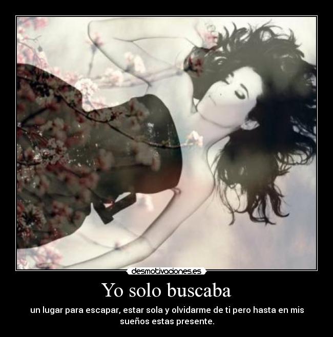 Yo solo buscaba -