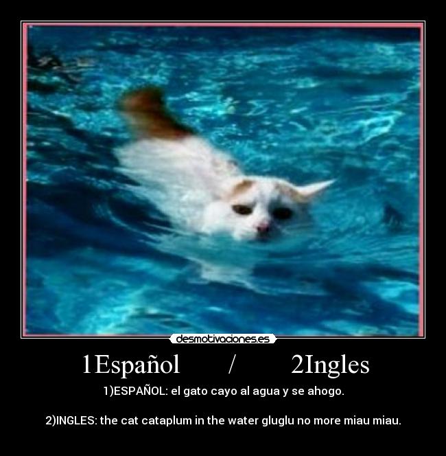 1Español / 2Ingles - 1)ESPAÑOL: el gato cayo al agua y se ahogo.
2)INGLES: the cat cataplum in the water gluglu no more miau miau.
