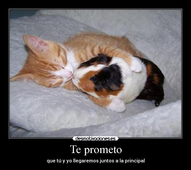 Te prometo - 