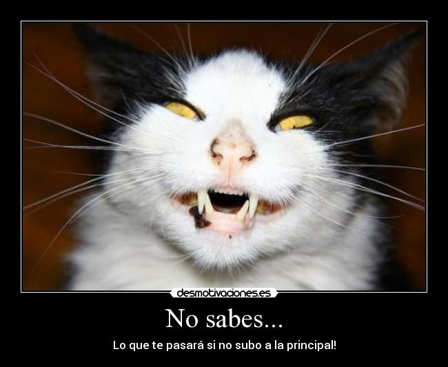 No sabes... - Lo que te pasará si no subo a la principal!