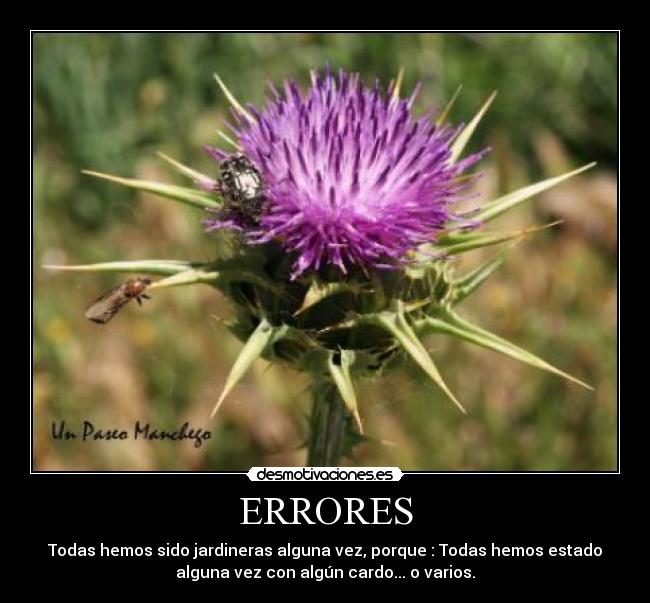 ERRORES - Todas hemos sido jardineras alguna vez, porque : Todas hemos estado
alguna vez con algún cardo... o varios.