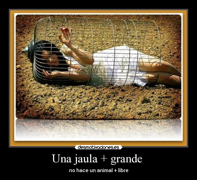 Una jaula + grande - no hace un animal + libre