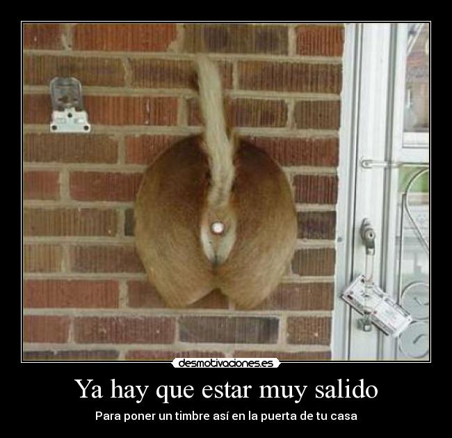 Ya hay que estar muy salido - Para poner un timbre así en la puerta de tu casa