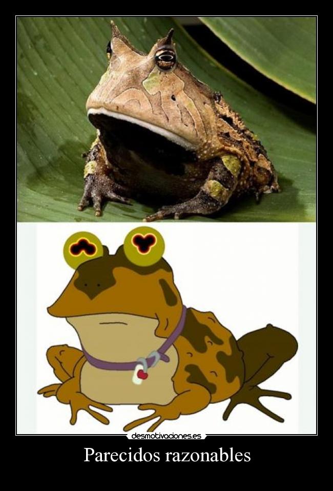 Parecidos razonables - 