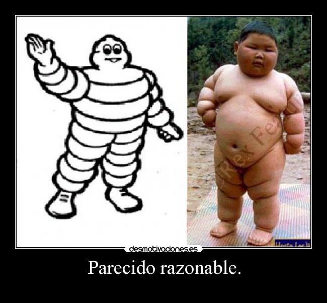 carteles michelin parecido desmotivaciones