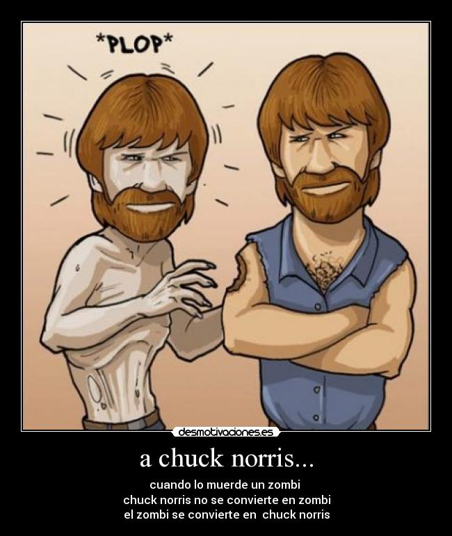 a chuck norris... - 