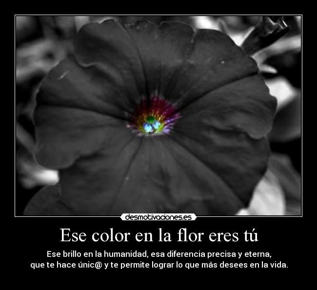 carteles amor vida eternidad esperanza motivacion color desmotivaciones