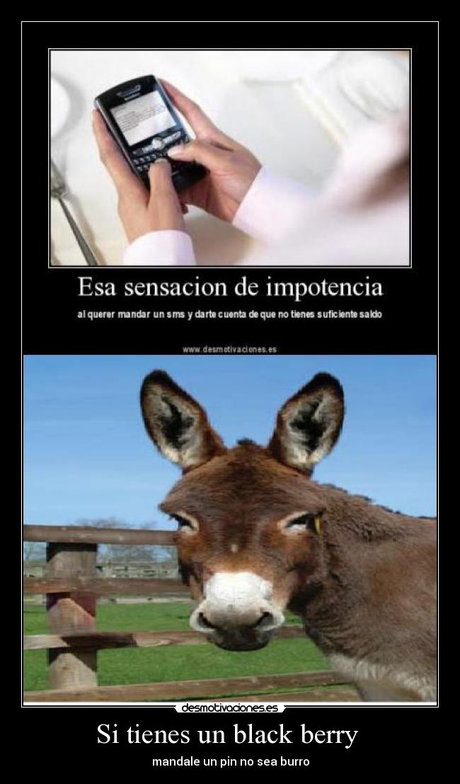 Si tienes un black berry  - 