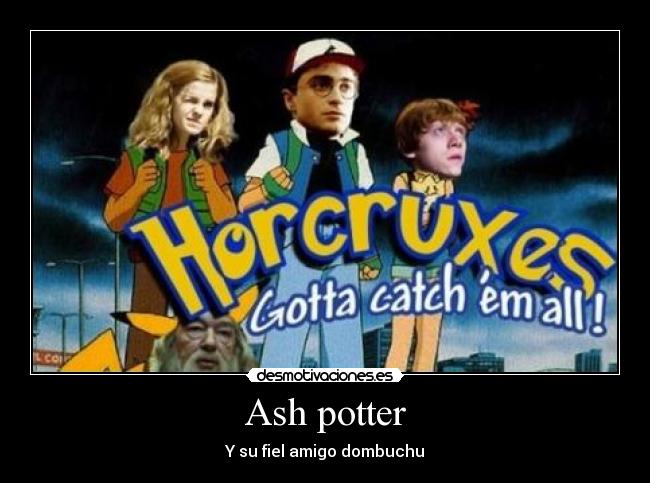 Ash potter -
