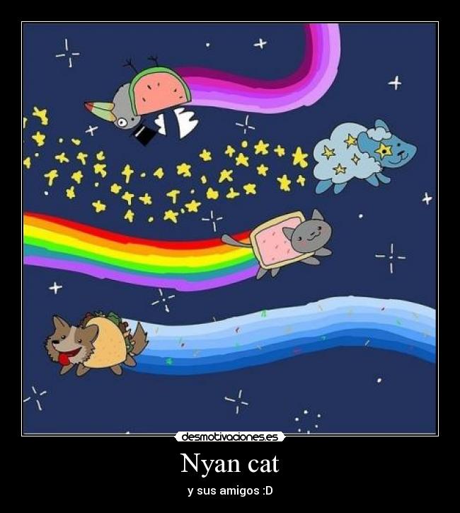 carteles nyan cat taco star oveja rainbow perico desmotivaciones