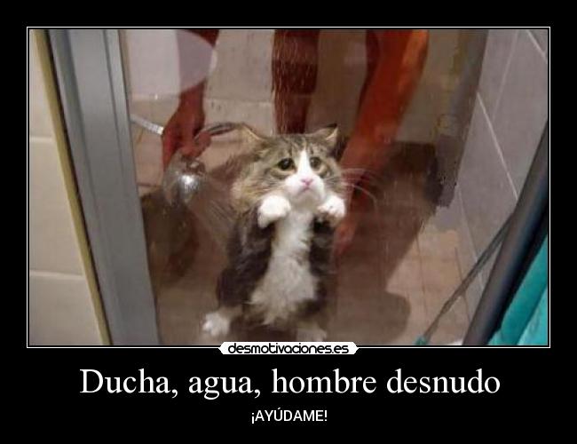 Ducha, agua, hombre desnudo - 