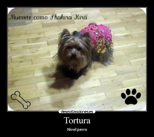 Tortura - 
