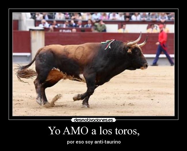 Yo AMO a los toros, - por eso soy anti-taurino