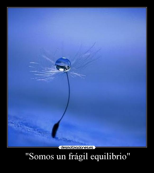Somos un frágil equilibrio -
