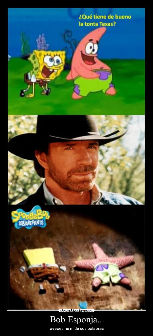 carteles bob esponja patricio chuck norris desmotivaciones