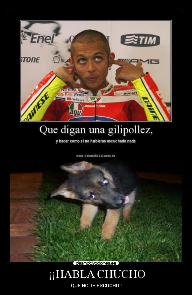 ¡¡HABLA CHUCHO -