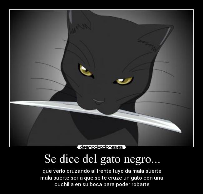 Se dice del gato negro... - que verlo cruzando al frente tuyo da mala suerte
mala suerte seria que se te cruze un gato con una
cuchilla en su boca para poder robarte