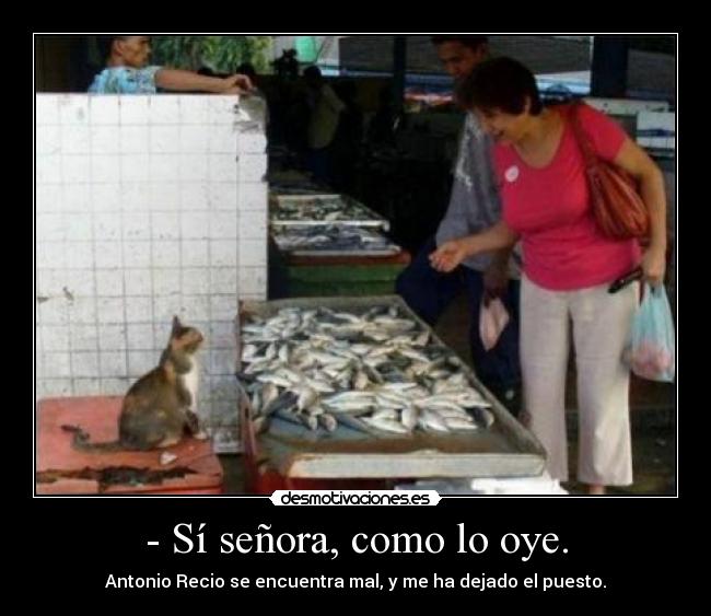 - Sí señora, como lo oye. - Antonio Recio se encuentra mal, y me ha dejado el puesto.