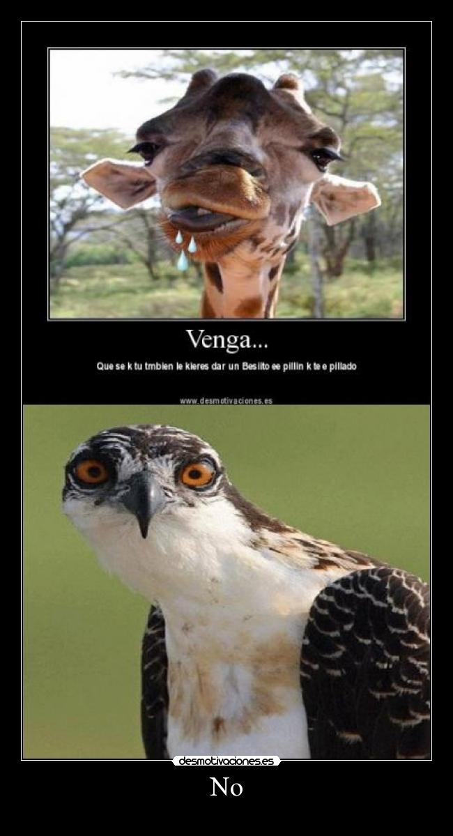 carteles desmotivaciones