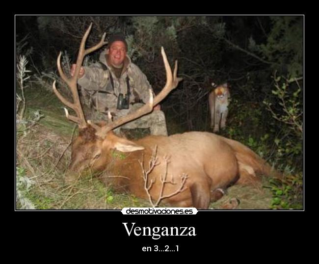 Venganza -