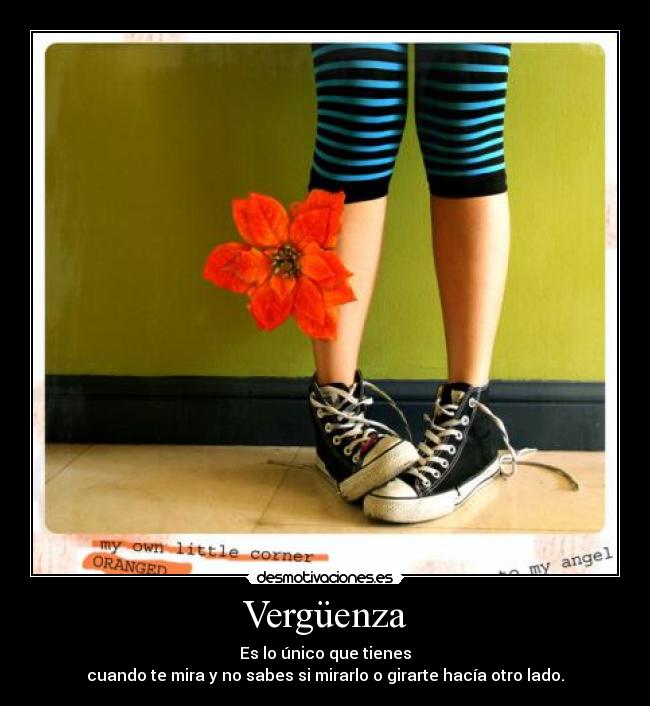 Vergüenza - 