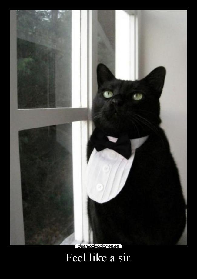 Feel like a sir. -