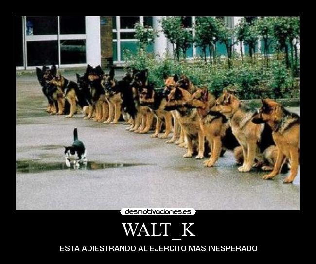 WALT_K - ESTA ADIESTRANDO AL EJERCITO MAS INESPERADO