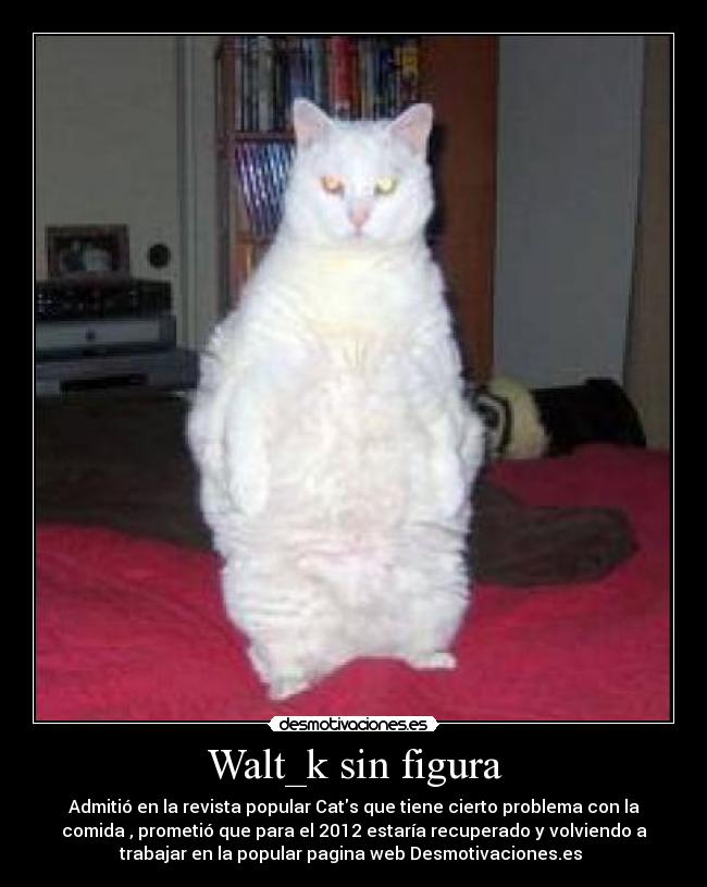 Walt_k sin figura - 