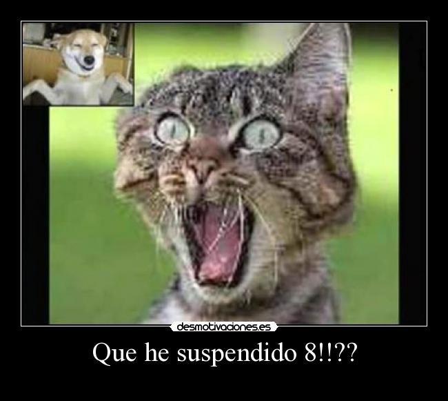 Que he suspendido 8!!?? -