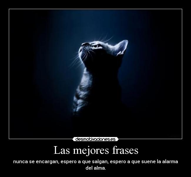 Las mejores frases - nunca se encargan, espero a que salgan, espero a que suene la alarma del alma.