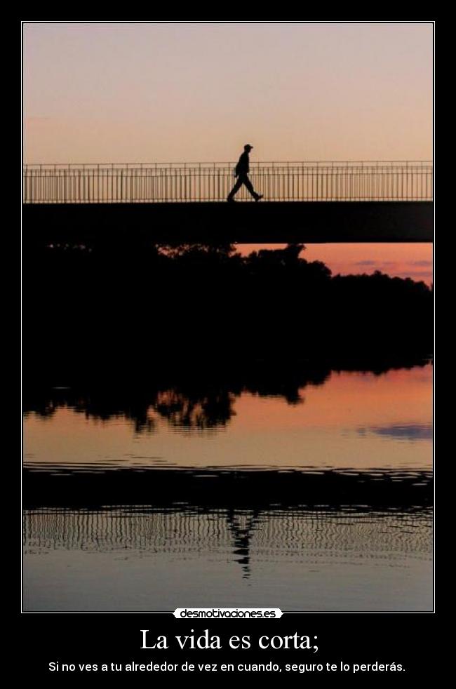 La vida es corta; - Si no ves a tu alrededor de vez en cuando, seguro te lo perderás. 