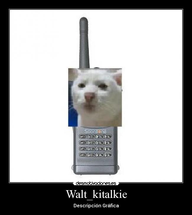 Walt_kitalkie - Descripción Gráfica