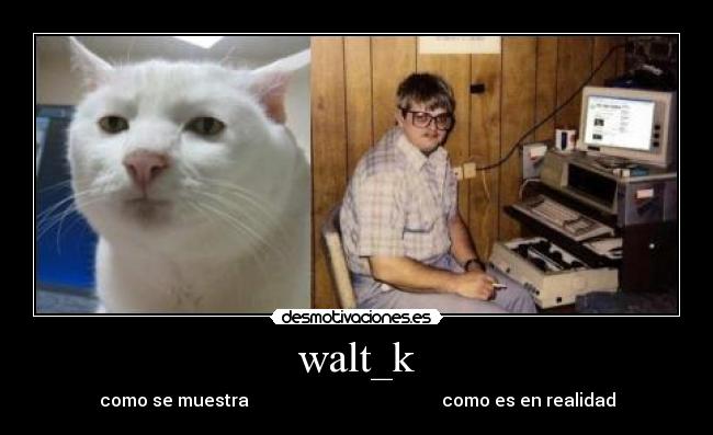 walt_k -