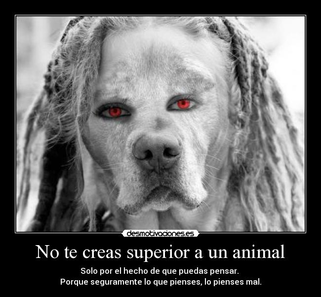 No te creas superior a un animal - Solo por el hecho de que puedas pensar. 
Porque seguramente lo que pienses, lo pienses mal.